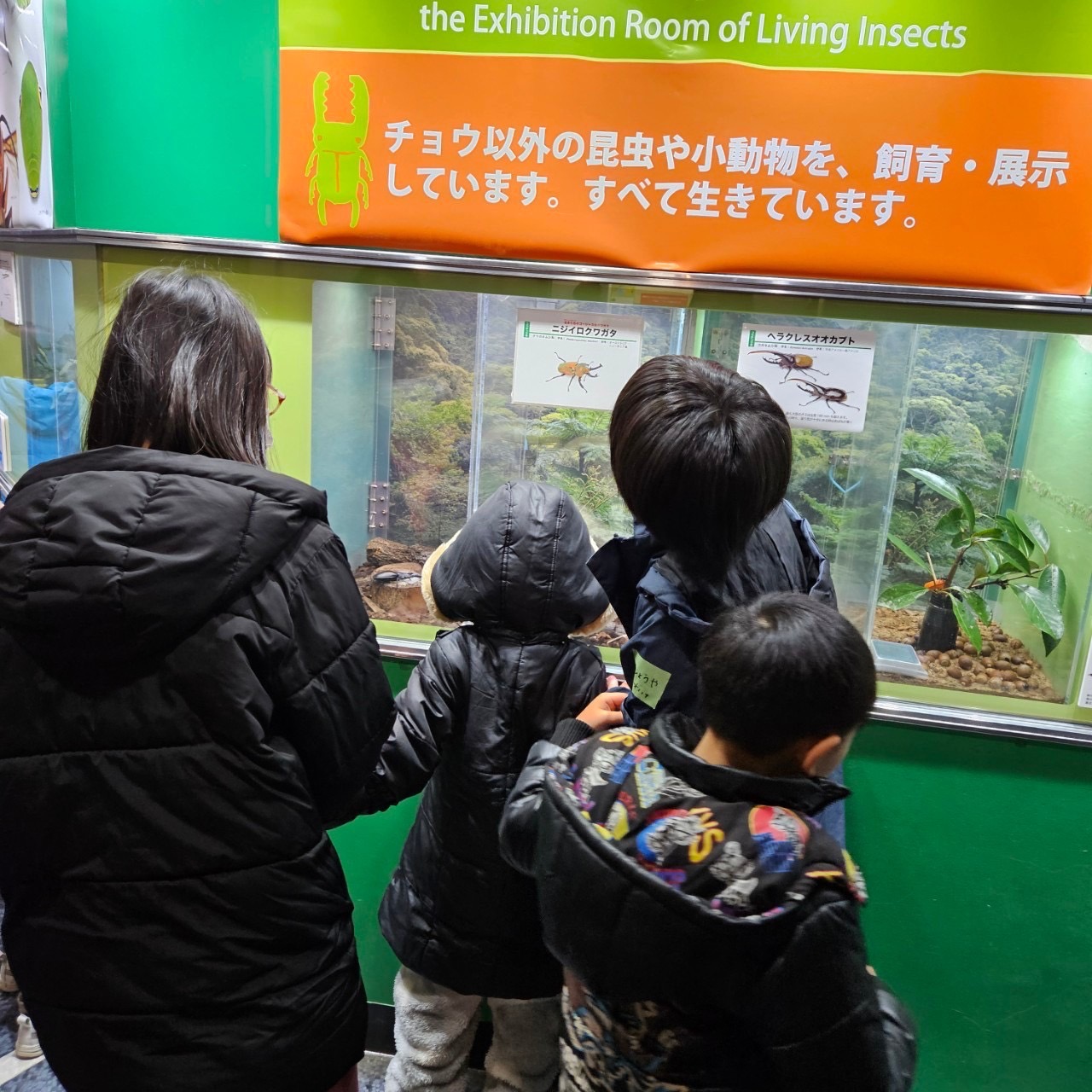 大阪市浪速区の放課後等デイサービスオハナピース大阪日本橋の花園町合同イベント、伊丹市昆虫館へおでかけ